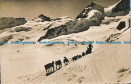 R013202 Jungfrau Joch. Rottalhorn Polarhunde. H. Steinhauer - Wereld