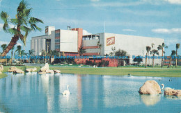 R012894 Four Generations Of Brewing Skill. Schlitz. Tampa Plant. 1964 - Wereld