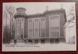 Cpa Bruxelles ; Parc Léopold - Institut De Zoologie - Onderwijs, Scholen En Universiteiten