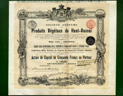 T-CBE Produits Vegetaux Du Haut-Kassai 1898 Congo Belgique - Action De Capital - Agriculture