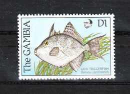 Gambia  - 1989.Pesce Balestra. Balista Trigger. MNH - Poissons