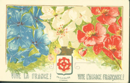 CP CPA Carte Patriotique Vive La France Vive L'Alsace Française Fleurs Bleu Blanc Rouge Armoiries Mulhouse CAD Rixheim - Non Classés