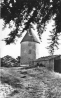 Noirmoutier * L'épine * Un Vieux Moulin De La Bosse * Molen - Noirmoutier