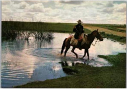 RIO GRANDE Do SUL.  -  Gaucho No Campo - Sonstige & Ohne Zuordnung