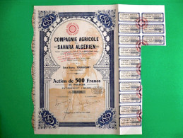 T-CFR Compagnie Agricole Du Sahara Algérien Touggourt 1926 - Landwirtschaft