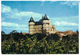 34   PEZENAS  LE CHATEAU DE MORGON - Pezenas