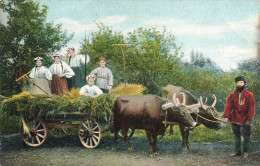 MIKIBP9-009- RUSSIE ATTELAGE BOEUFS TYPES DE AGRICULTURE - Russia