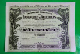 T-CFR Compagnie Lyonnaise Des BANANERIES DE BLUEFIELDS Nicaragua 1913 - Landbouw