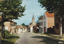 CPM . NOGARO  .  AVENUE DU " CASSOU-DE-HERRE "  CARTE NON ECRITE - Nogaro