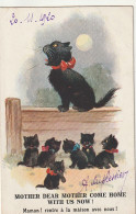  ***  CHATS *** CHATTS CHATONS  --  Par Illustrateur  Mother Dear Mother Cats ---   - Gatti