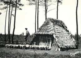 40 - Landes - Les Landes D'Autrefois - Berger Sur échasses Devant Une Borde - Moutons - Echassier Landais - Folklore - S - Other & Unclassified