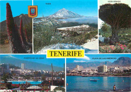 Espagne - Espana - Islas Canarias - Tenerife - Multivues - CPM - Voir Scans Recto-Verso - Tenerife