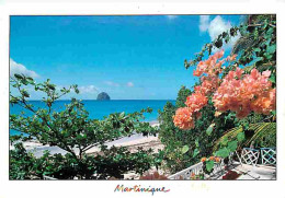 Martinique - Le Diamant - La Plage Devant Le Célèbre Rocher Du Diamant - CPM - Voir Scans Recto-Verso - Altri & Non Classificati