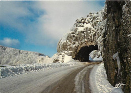 88 - Vosges - La Schlucht - Le Tunnel De La Schlucht Sous La Neige - Hiver - Neige - Carte Neuve - CPM - Voir Scans Rect - Autres & Non Classés