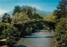 64 - Saint Etienne De Baigorry - Le Pont Romain - Carte Neuve - CPM - Voir Scans Recto-Verso - Saint Etienne De Baigorry