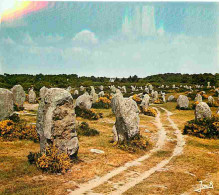 56 - Carnac - Les Alignements Mégalithiques Du Ménec - Carte Neuve - CPM - Voir Scans Recto-Verso - Carnac