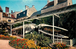 14 - Luc Sur Mer - Jardin Municipal : Squelette De La Baleine échouée Au Lieu Dit Moulin De Luc, Le 12 Janvier 1885 - Fl - Luc Sur Mer