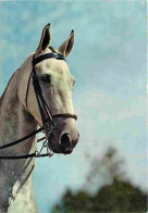 Animaux - Chevaux - Portrait De Cheval - Tete De Cheval - Carte Neuve - CPM - Voir Scans Recto-Verso - Cavalli