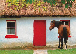 Animaux - Chevaux - Irlande - Thatched Cottage - Carte Neuve - CPM - Voir Scans Recto-Verso - Cavalli