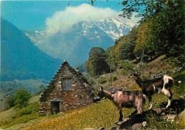 Animaux - Chèvres - Grange En Montagne - CPM - Voir Scans Recto-Verso - Otros & Sin Clasificación