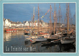 56 - La Trinité Sur Mer - CPM - Voir Scans Recto-Verso - La Trinite Sur Mer