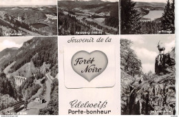 VINTAGE POSTCARD ±1950 Carte à Système- Souvenir De La Forêt Noire Edelweiß Edelweiss Porte Bohneur CPSM - Sonstige & Ohne Zuordnung