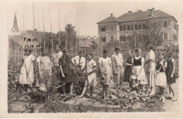 AK - Stmk - Köflach - Fleissige Gärtnerinnen D. Mädchen Hauptschule - 1931 - Köflach