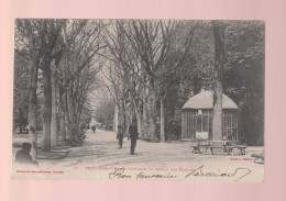 CPA - 31 - Toulouse - Allée Centrale Du Jardin Des Plantes - Animée - Circulée (pli) - Toulouse