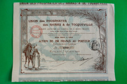 T-CFR Union Des Phosphates Des Rhiras & De Tocqueville 1902 - Mineral