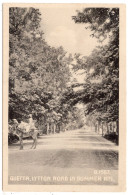 BRITISH INDIA - QUETTA - Lytton Road In Summer No. 1 - Macropolo Q 1567 - Inde