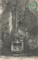 Treillières * Les Ruines Intérieures De La Chapelle Notre Dame Des Dons - Sonstige & Ohne Zuordnung