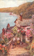 Scenic Postcard England Clovelly Rose Cottage Bay - Clovelly