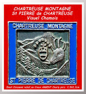 SUPER PIN'S "VILLE-REGION -St PIERRE De CHARTREUSE En MONTAGNE En EMAIL Cloisonné En CREUX Base ARGENT 2,5X2,2cm - Villes