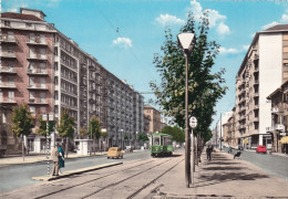 Torino Corso S. Maurizio ( Tram ) - Autres & Non Classés