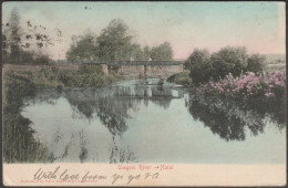 Umgeni River, Natal, 1905 - Sallo Epstein Postcard - Südafrika