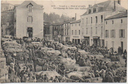 85 POUZAUGES  Le Champ De Foire Aux Vaches  - Pouzauges