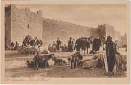 CARTOLINA DI GERUSALEMME JERUSALEM - PALESTINA - FORMATO PICCOLO - Palestine
