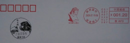 China Posted Cover，Lantian Ape Man Site，color Postage Machine Stamp - Briefe