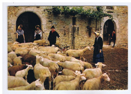 FOLKLORE - AVEYRON - VILLEFRANCHE De ROUERGUE - Groupe " LA RESPELIDO " ( Moutons ) - Pierre Artaud - N° 198 - Personajes