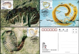 China Maximum Card 2024-4 World Natural Heritage Site - Chengjiang Fossil Site - Maximum Cards