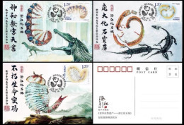 China Maximum Card 2024-4 World Natural Heritage Site - Chengjiang Fossil Site - Tarjetas – Máxima