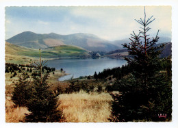 Environs Du MONT-DORE - Le Lac De Guéry - Auvergne