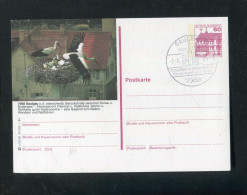 "STOERCHE" 194, Entsprechende Abbildung Auf Bildpostkarte Mit SSt. "SAULGAU" (R1228) - Cigognes & échassiers