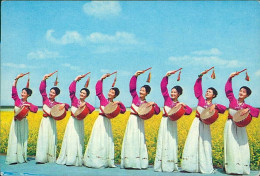 Delcampe - NORTH KOREA - PYONGYANG - ART TROUPE MANSOUDAI - HARVEST FESTIVAL (18367) - Korea (Nord)