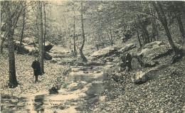 78 -   VALLEE DE CHEVREUSE - LA RIVIERE DES VAUX DE CERNAY - Sonstige & Ohne Zuordnung