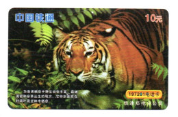 Tigre  Jungle Animal  Télécarte  Phonecard  Karte (K 339) - China