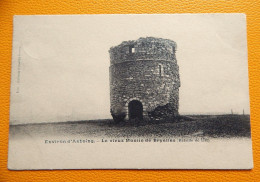 BRUYELLE   -  ANTOING - Le Vieux Moulin De Bryelles (Bataille De 1745)  -  1905 - Antoing