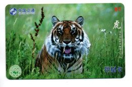 Tigre  Jungle Animal  Télécarte  Phonecard  Karte (K 342) - Cina