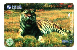 Tigre  Jungle Animal  Télécarte  Phonecard  Karte (K 344) - China