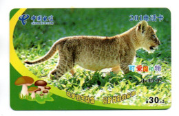 Tigre  Jungle Animal  Télécarte  Phonecard  Karte (K 345) - China